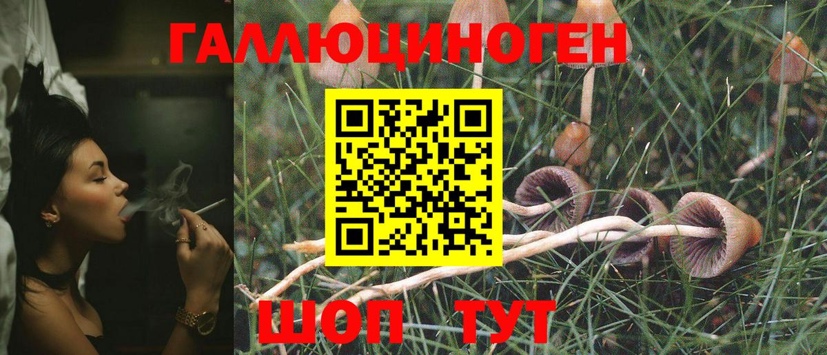 Псилоцибиновые грибы прущие грибы Губкинский